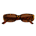 Tortoise Amber Fade Small Rectangle Sunglasses