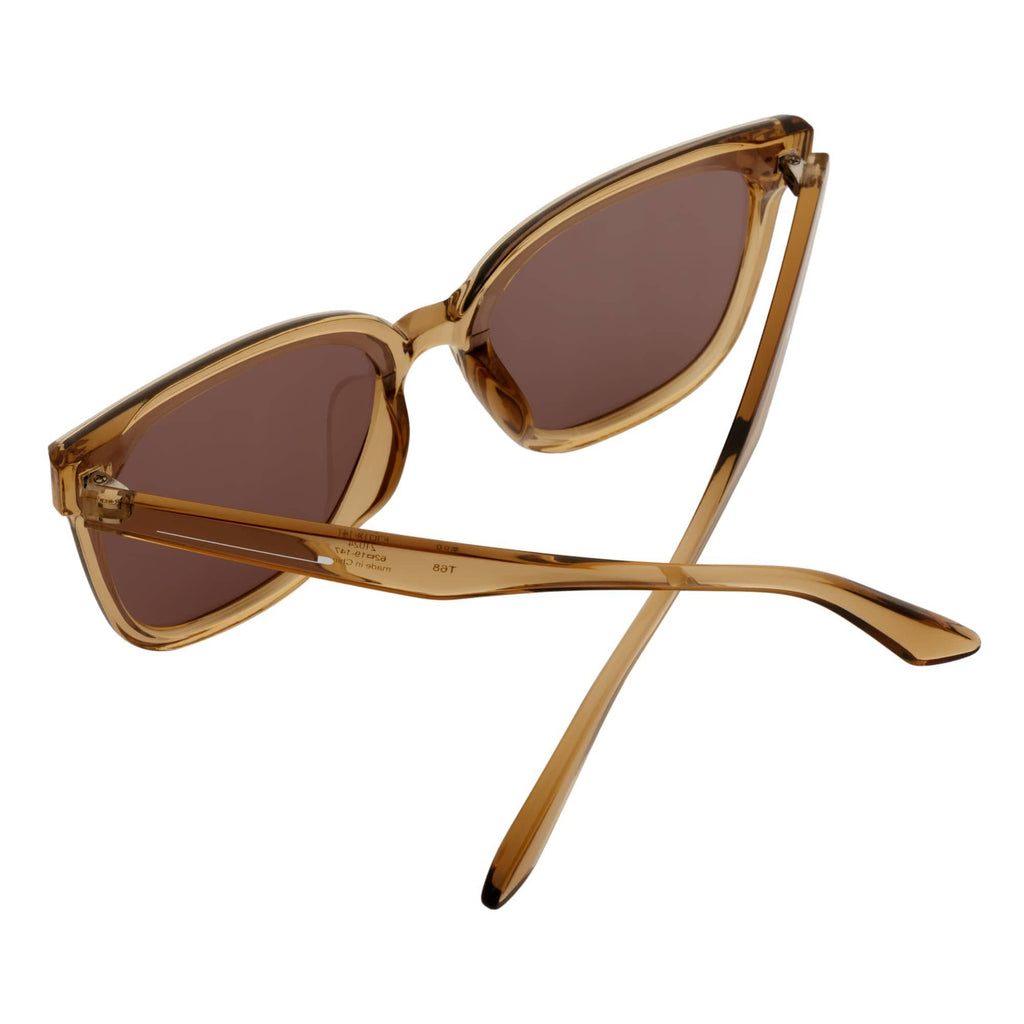 Clear Brown Oversize 3 Pin Cat Eye Sunglasses