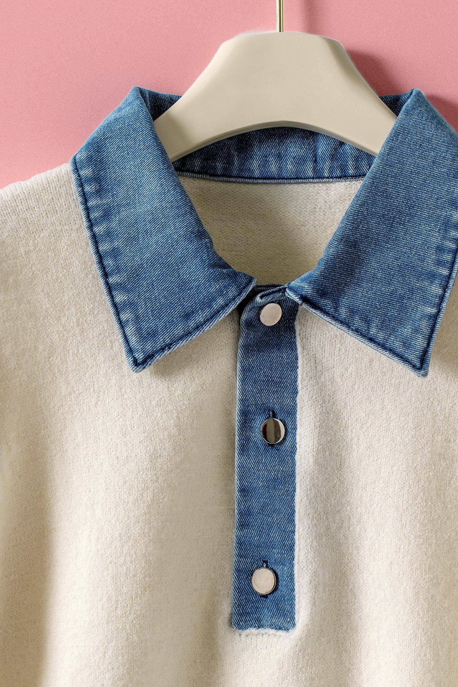 Ivory & Blue Collared Sweater Top