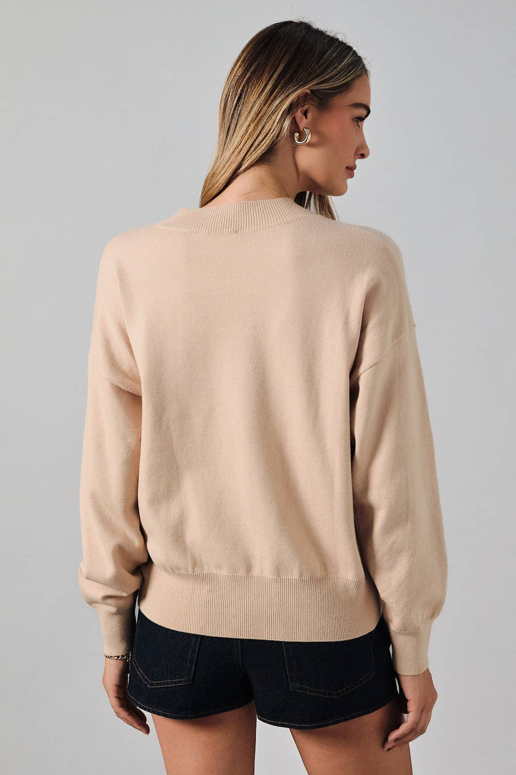Light Taupe Fall Dog Graphic Sweater