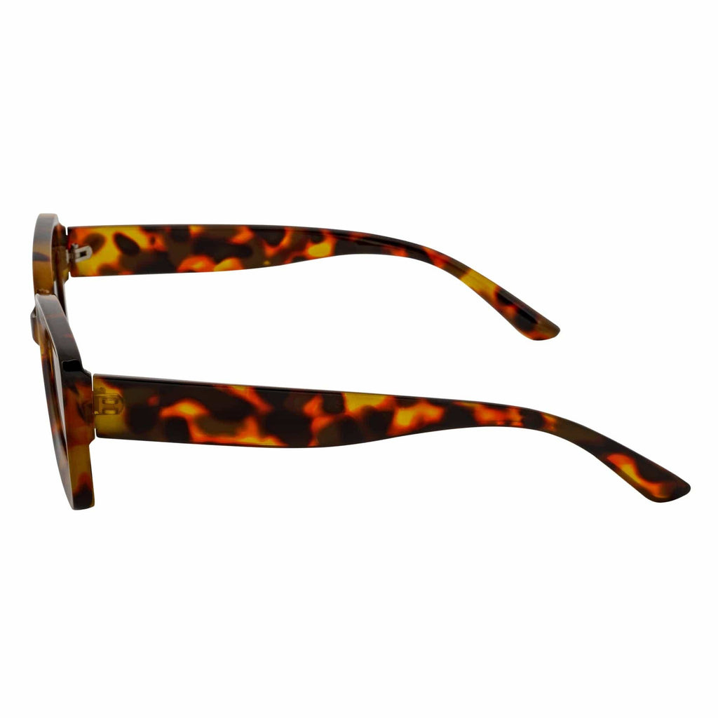 Tortoise Brown Small Thick Rectangle Sunglasses