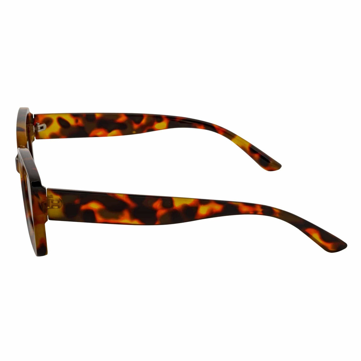 Tortoise Brown Small Thick Rectangle Sunglasses