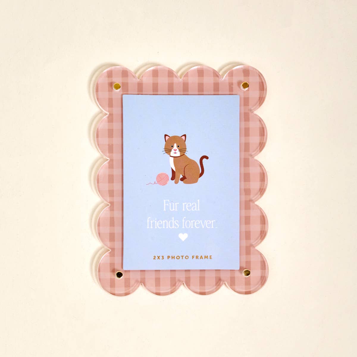 Cool Cat Acrylic Picture Frame Magnet