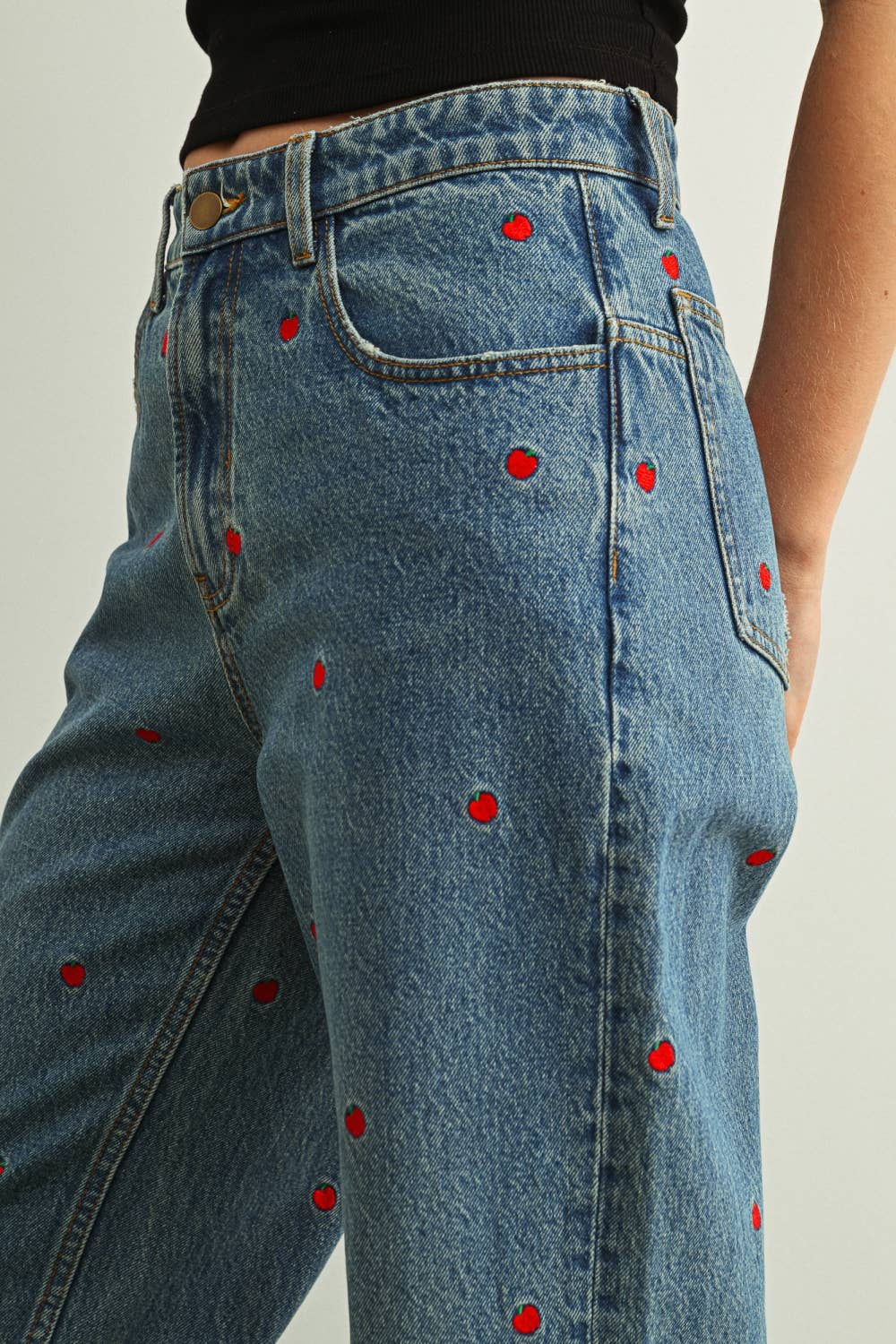 Denim Embroidered Pants