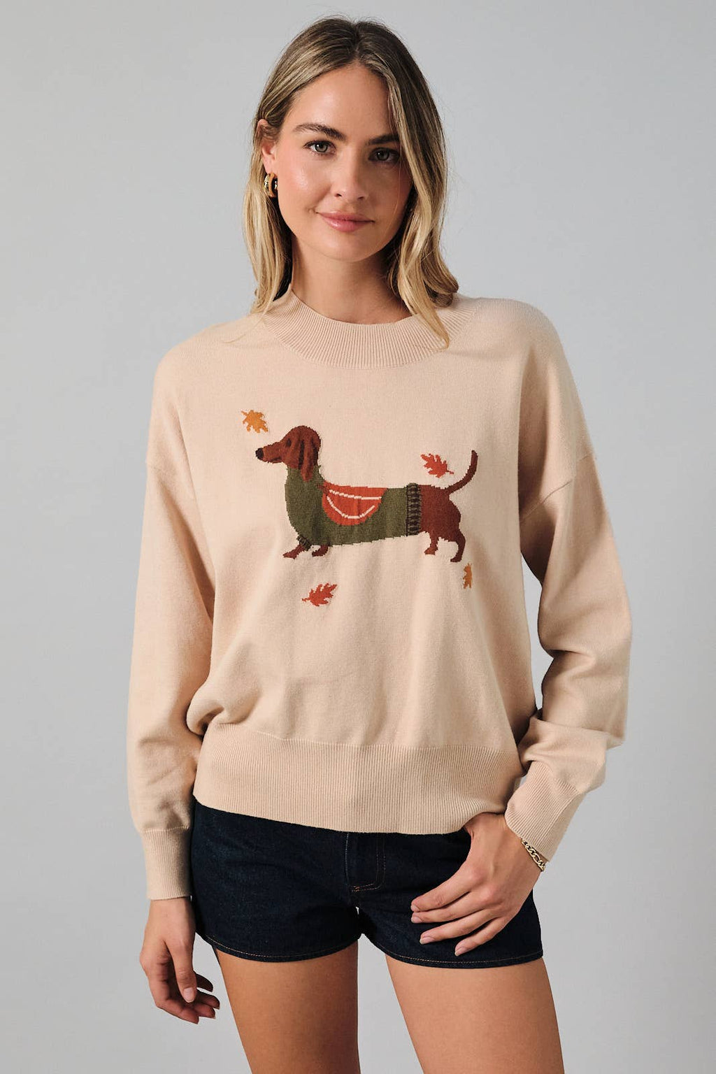Light Taupe Fall Dog Graphic Sweater