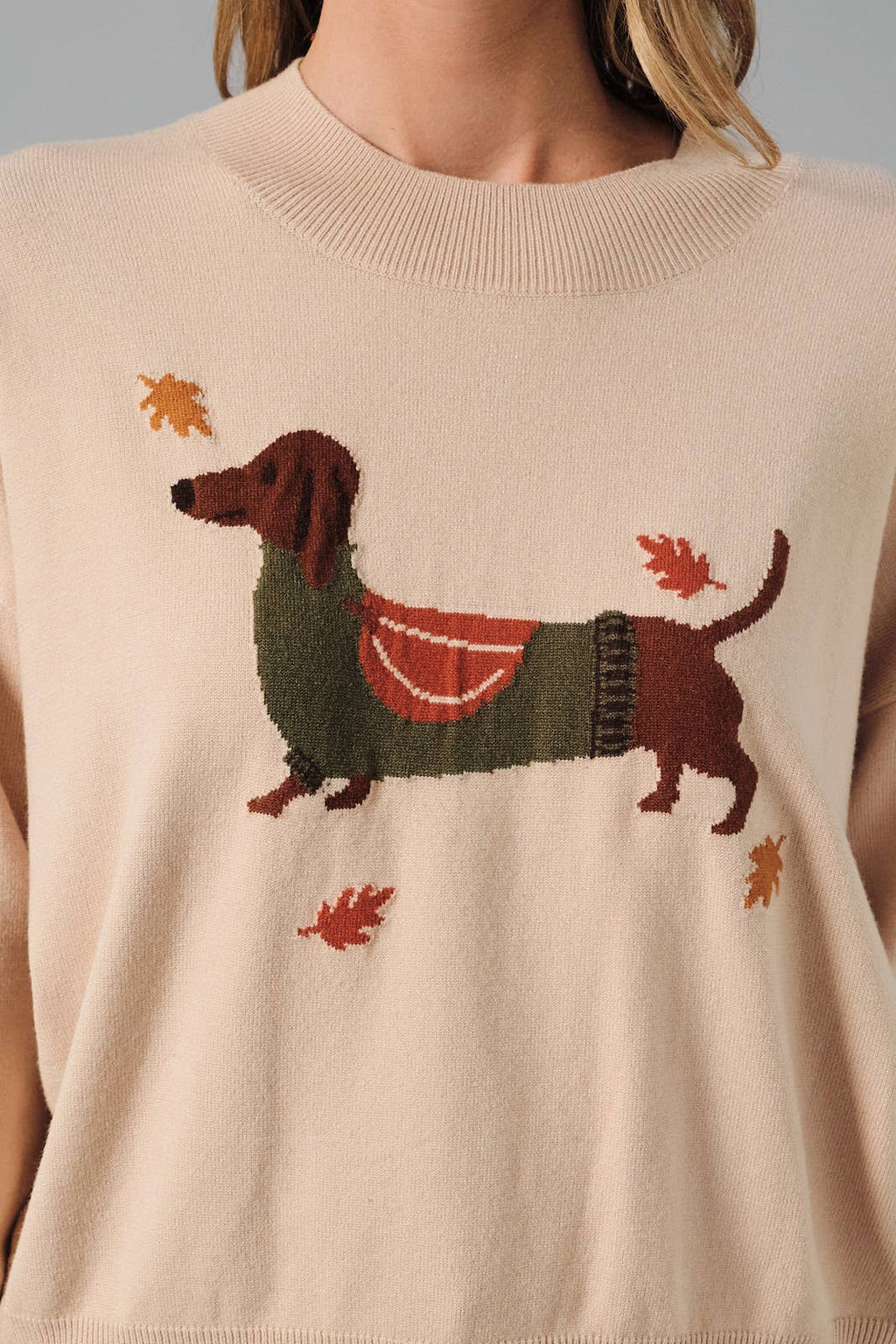 Light Taupe Fall Dog Graphic Sweater