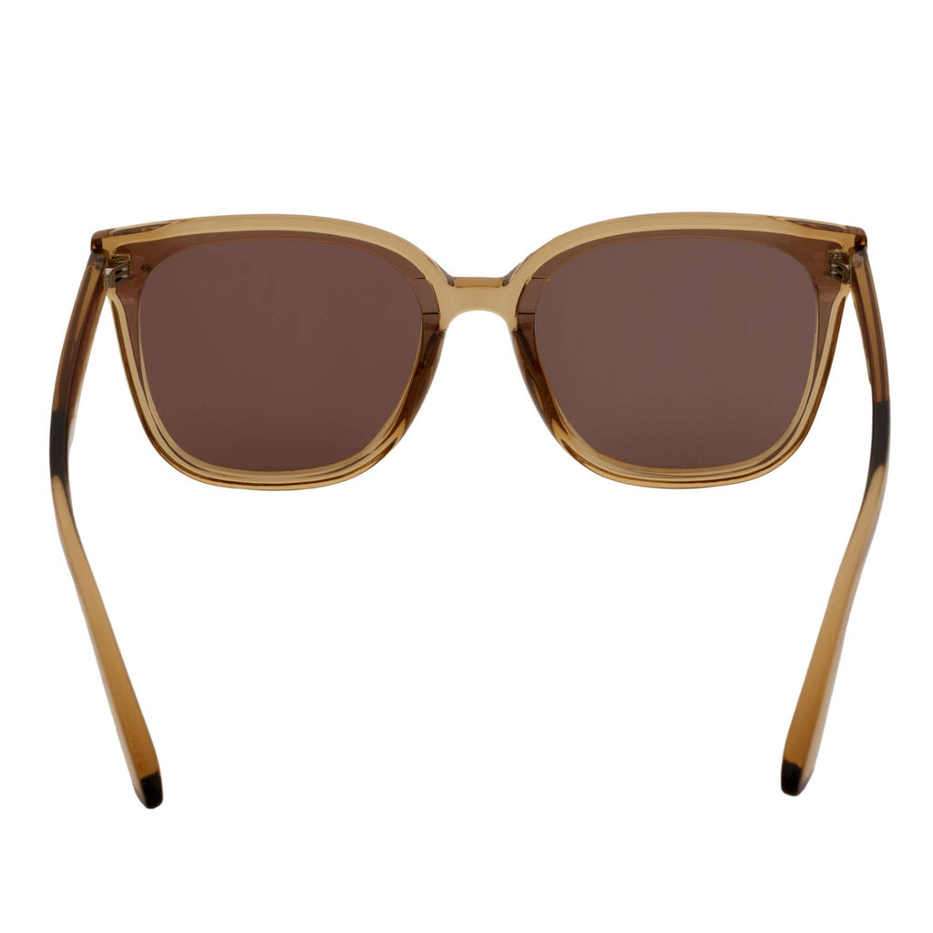 Clear Brown Oversize 3 Pin Cat Eye Sunglasses