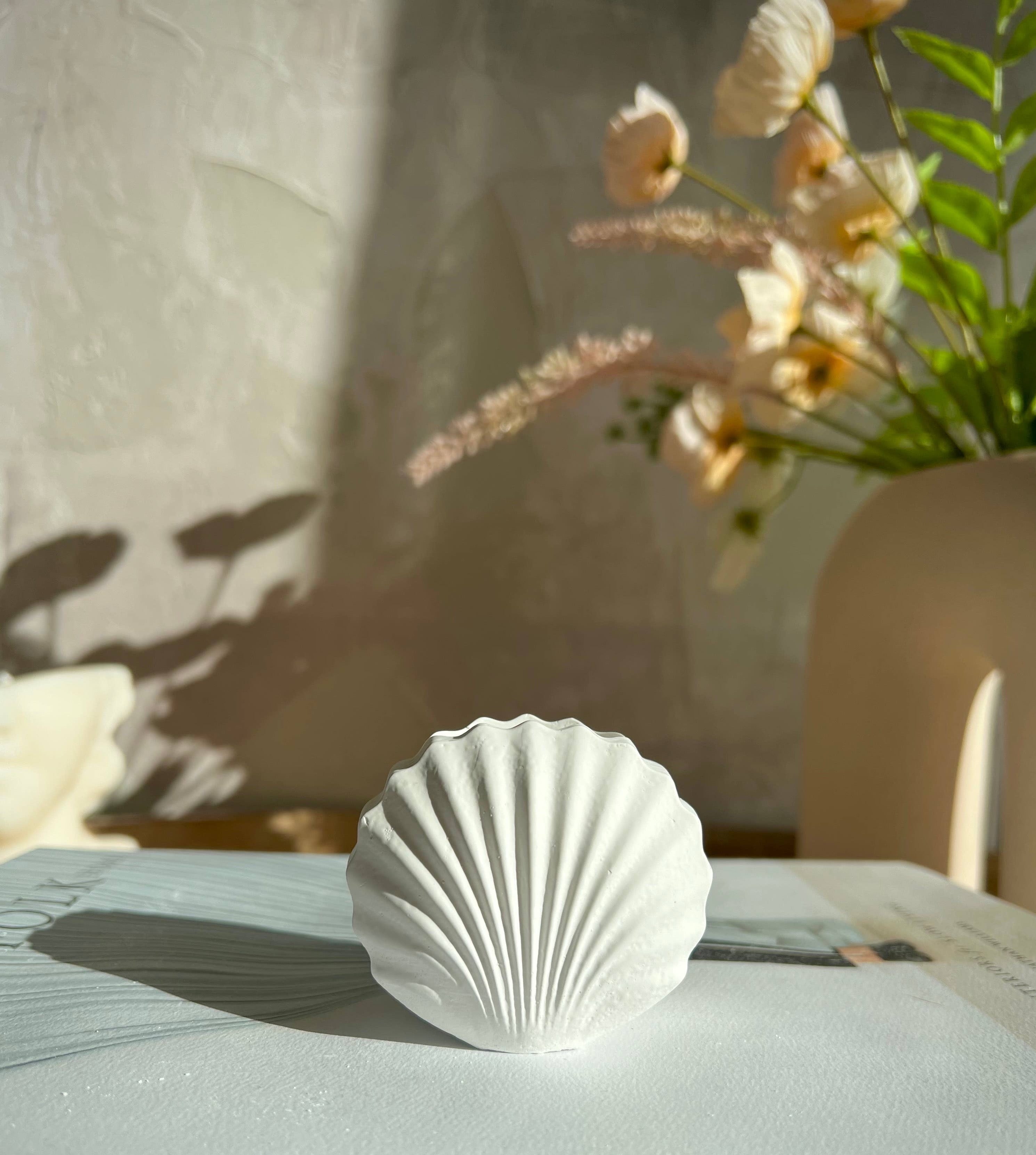 White Shell Vase
