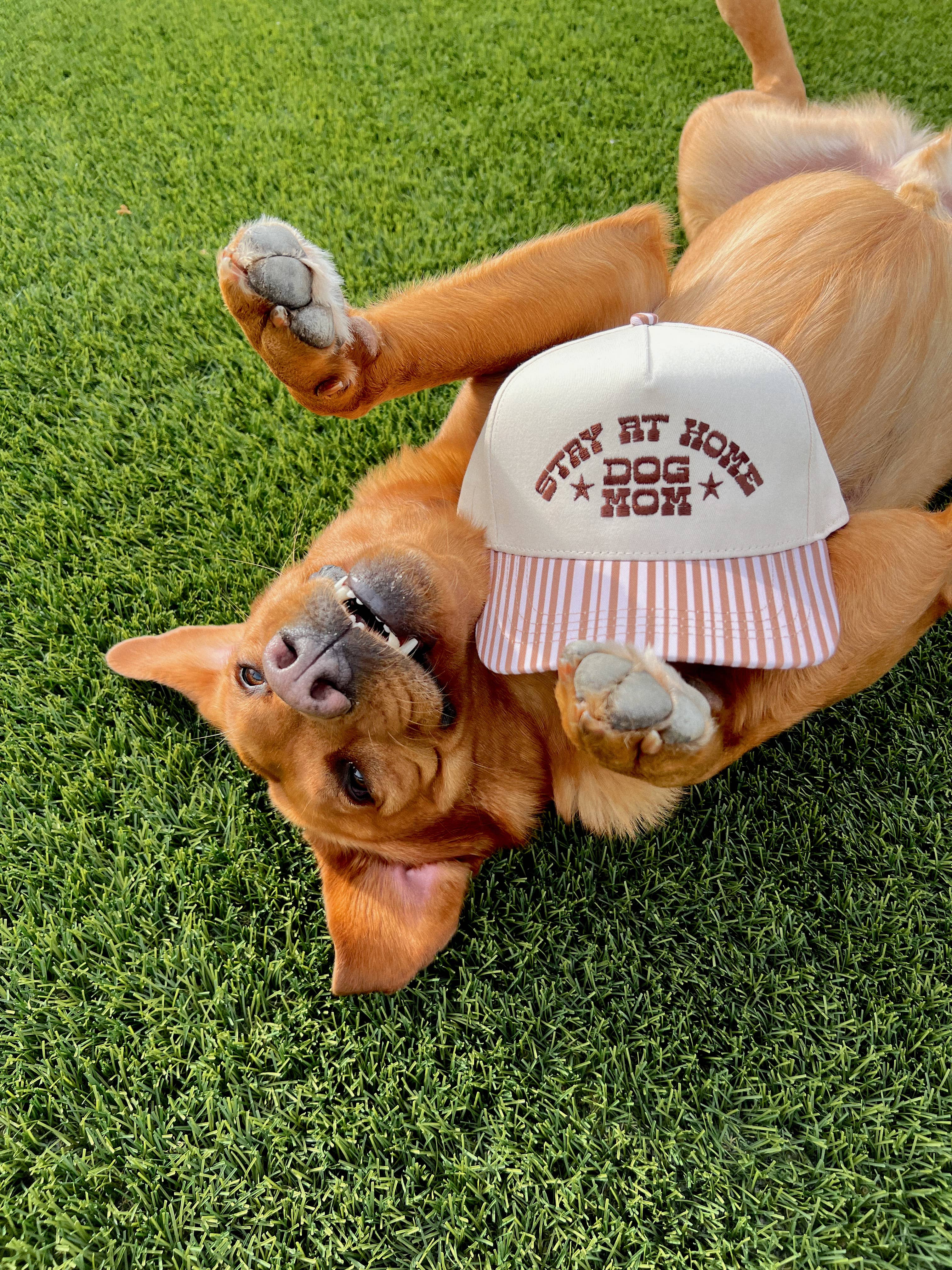 Stay At Home Dog Mom Brown Striped Hat