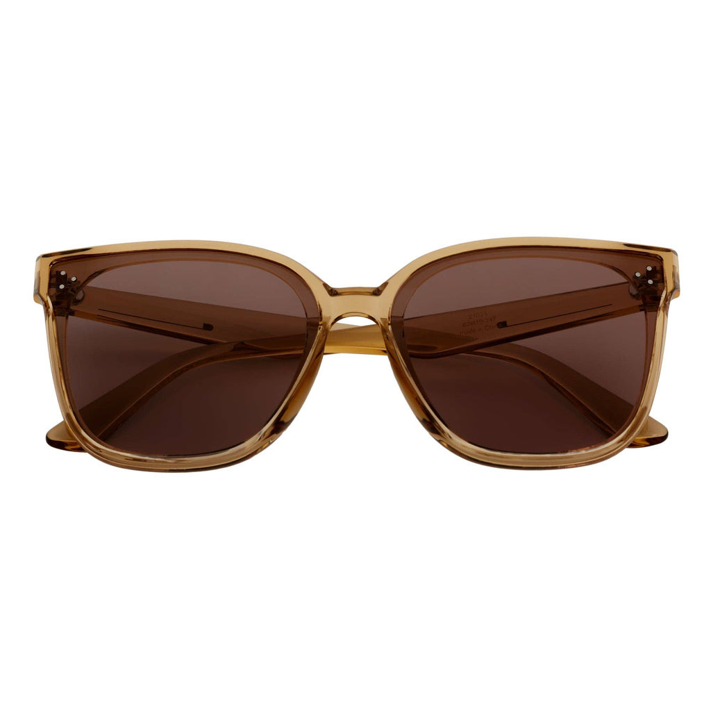 Clear Brown Oversize 3 Pin Cat Eye Sunglasses