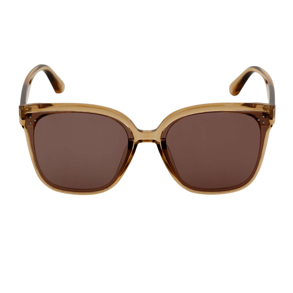 Clear Brown Oversize 3 Pin Cat Eye Sunglasses