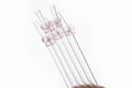Glass Straw With Pink Bow