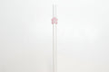 Glass Straw With Pink Flower