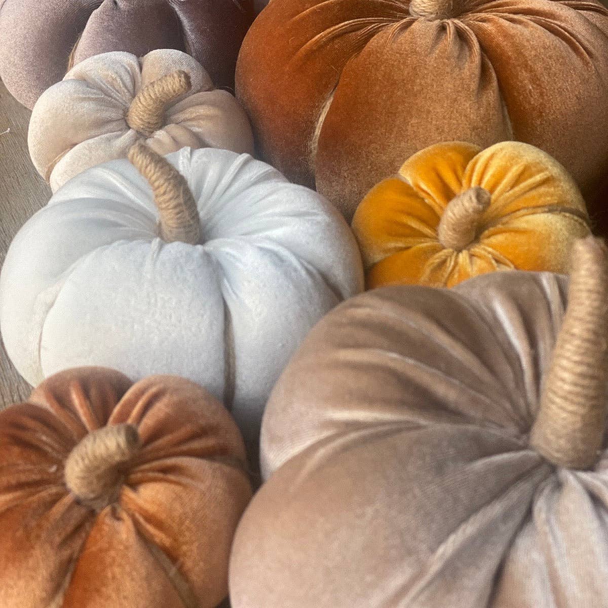 Medium Saddle Velvet Fall Pumpkin