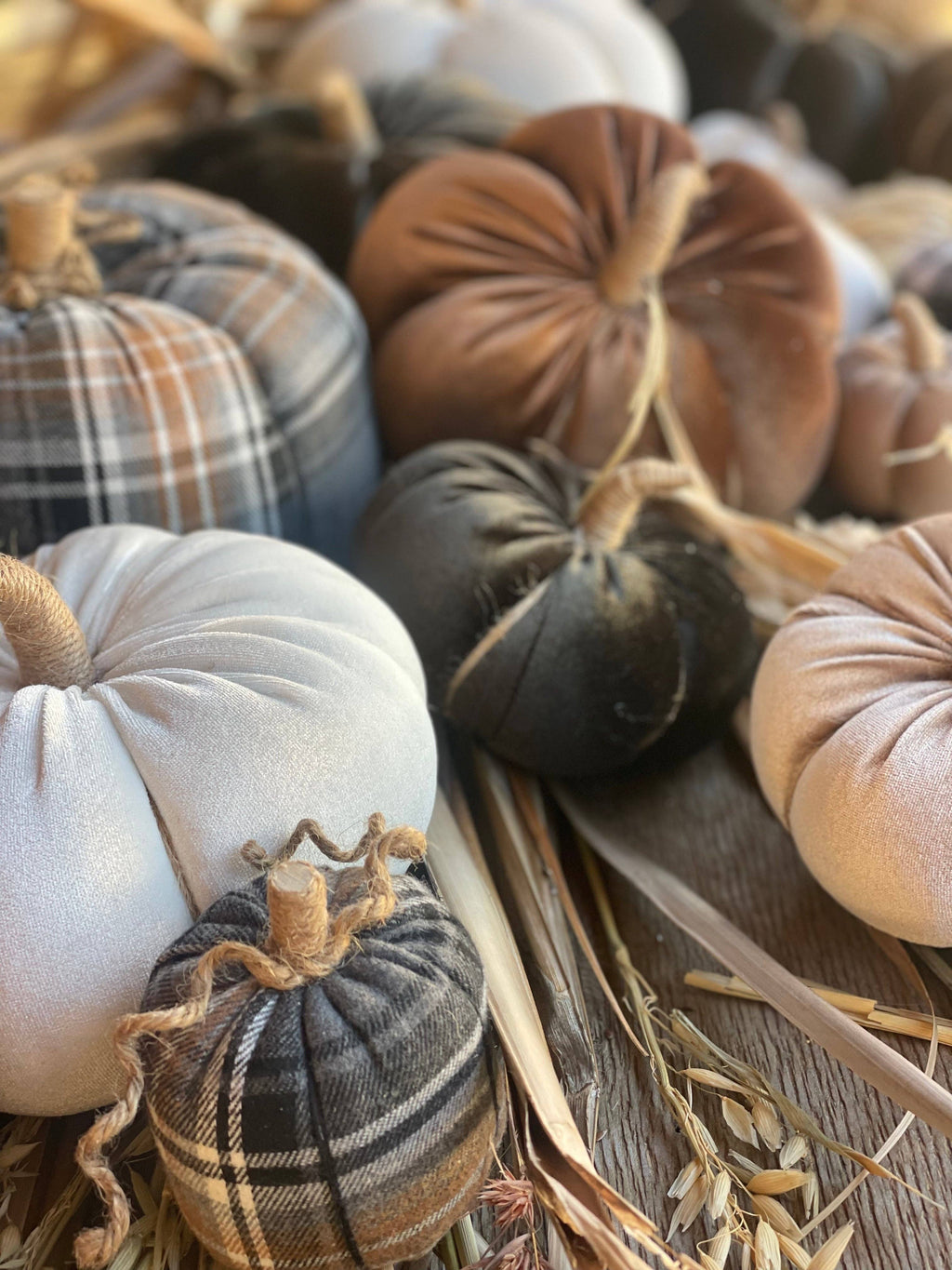 XL Pecan Velvet Fall Pumpkin