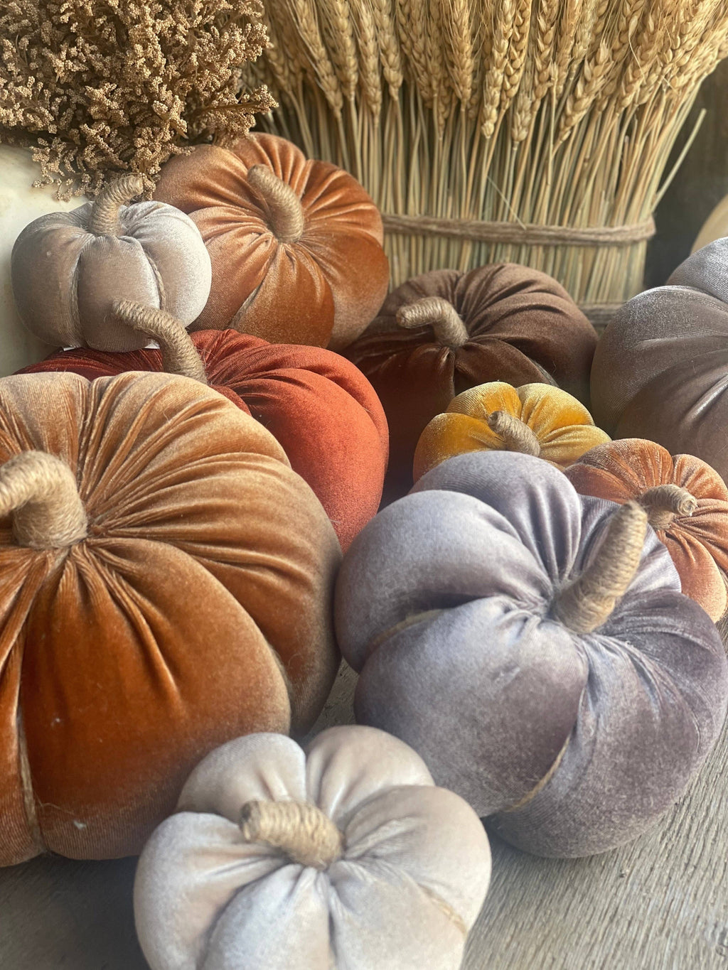 XL Caramel Velvet Fall Pumpkin