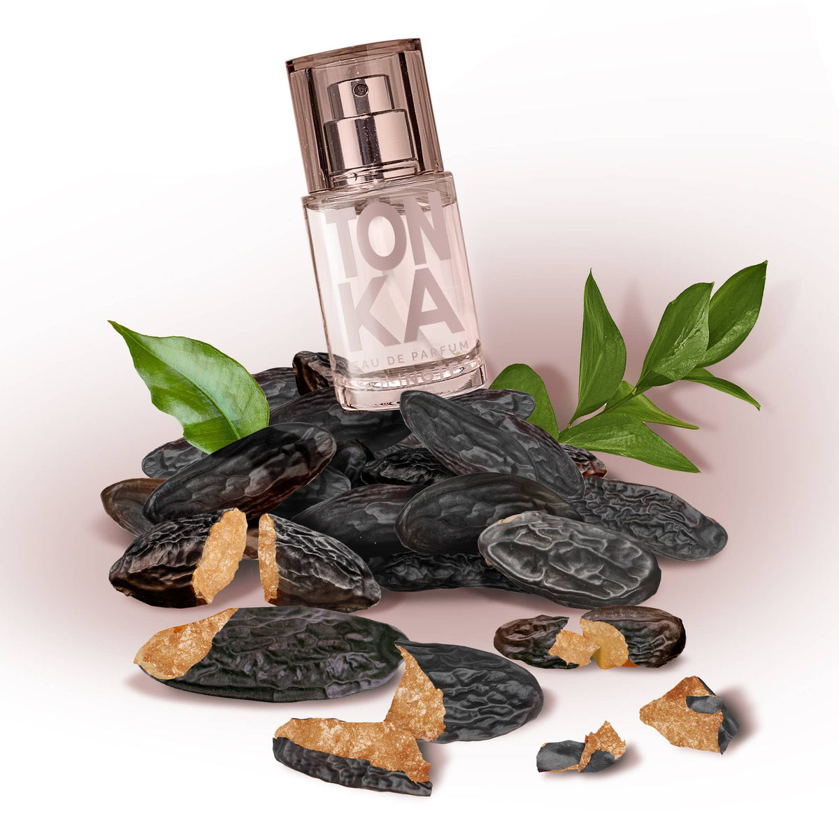 Mini Tonka Perfume