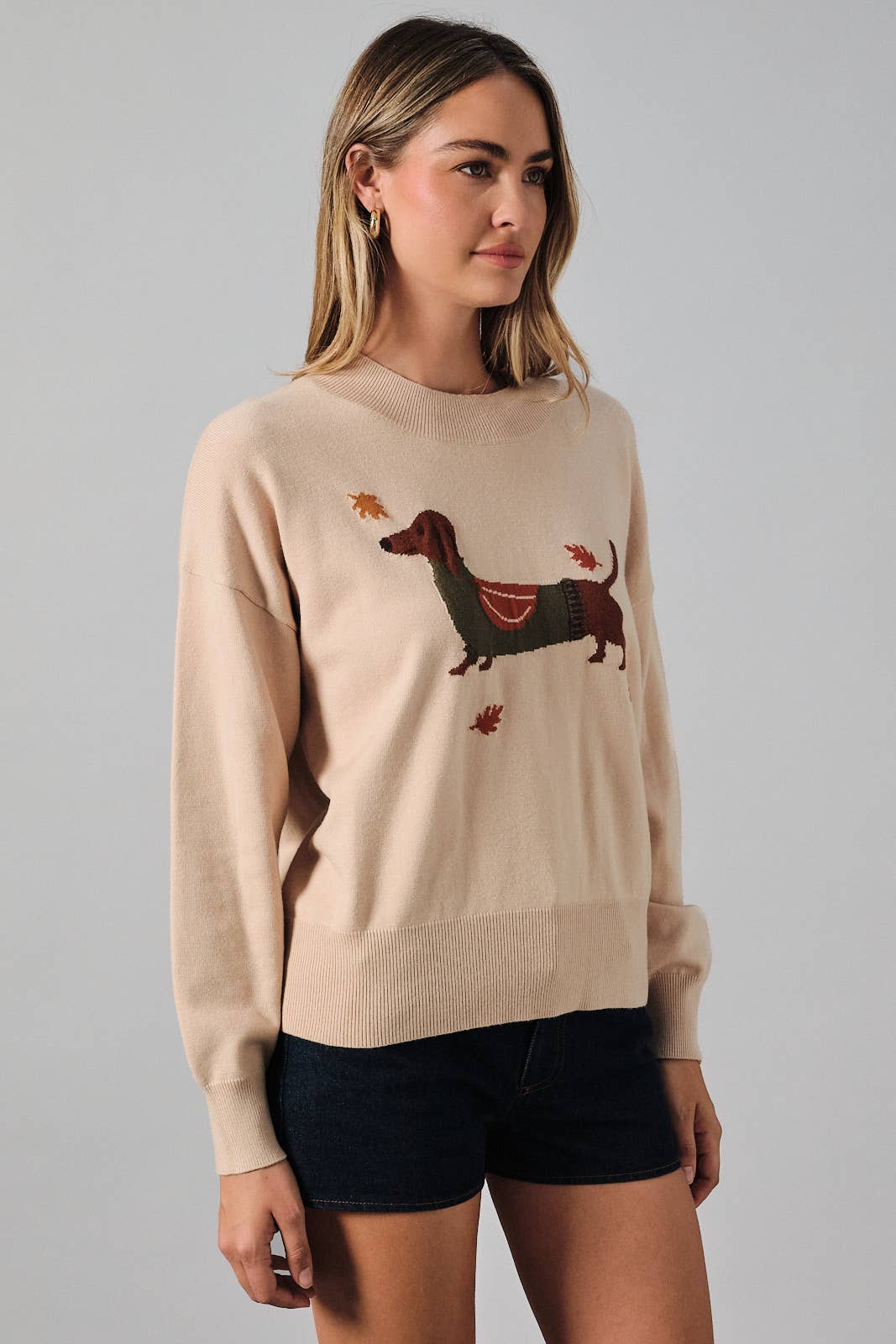 Light Taupe Fall Dog Graphic Sweater